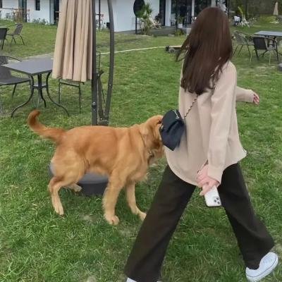 终极警探总动员