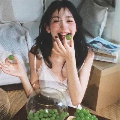 加菲猫家族